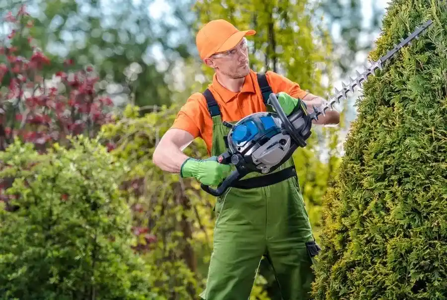 Should You Hire A Professional For Bush Trimming Services Escondido, CA